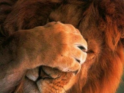 Detrazione 50%, come correggere gli errori sul bonifico bancario Detrazione 50%, come correggere gli errori sul bonifico bancario