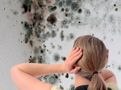 Muffa sui muri e sulle pareti di casa? ecco cosa fare per eliminarla ... Problemi di muffa sui muri