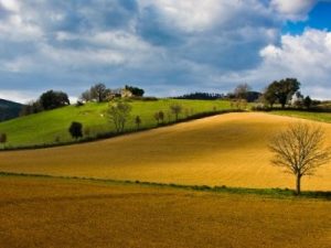 Vincoli paesaggistici, intesa tra il Mibac e la Regione Toscana