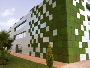 Giardino verticale, ecco perchè è importante la manutenzione ... Giardino a parete