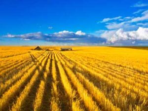 IMU terreni agricoli