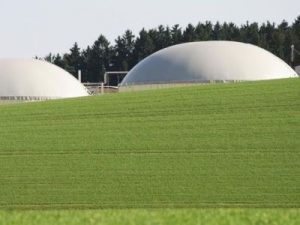 Biogas allacciato alle reti di gas naturale: l’AEEG dice sì