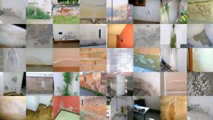 Diagnosi e correzione dell’umidità da risalita muraria: Maggioli annuncia il manuale operativo