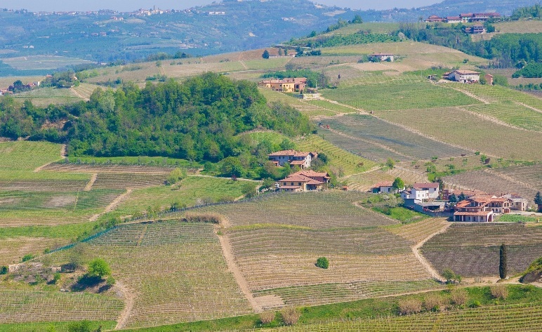 SCARICARE TAF AGENZIA DEL TERRITORIO