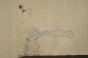 Quando si forma la muffa in casa (e come contrastarla) ediltecnico Perchè si forma l umidità in casa