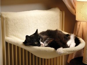 Valvole termostatiche e non solo, 11 nuove regole per risparmiare ... Risparmio valvole termostatiche