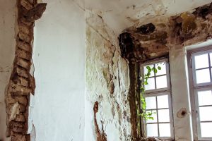 Muffa, umidità e condensa mettono in pericolo la salute: cause e ... Condensa e muffa