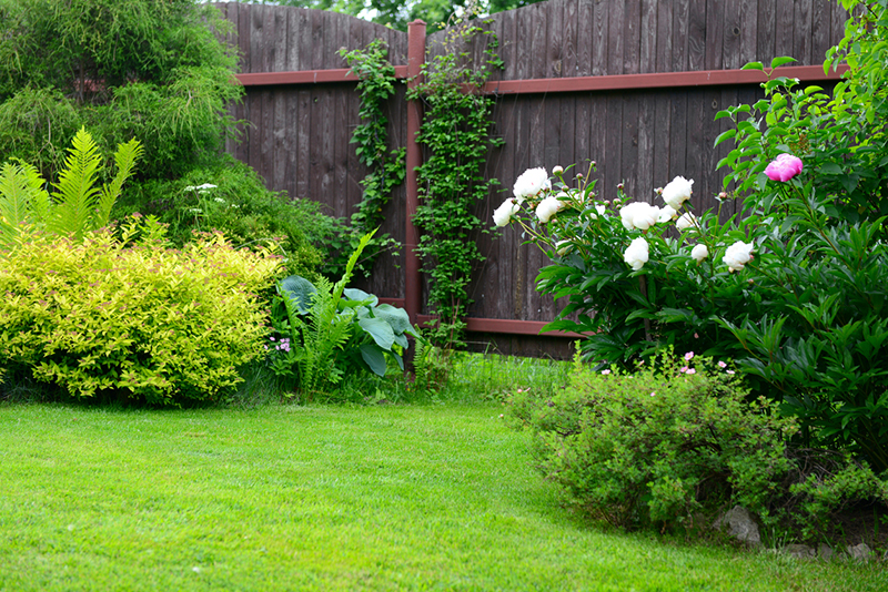 SPESE GIARDINAGGIO SCARICARE
