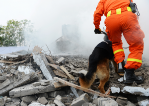 protezione civile